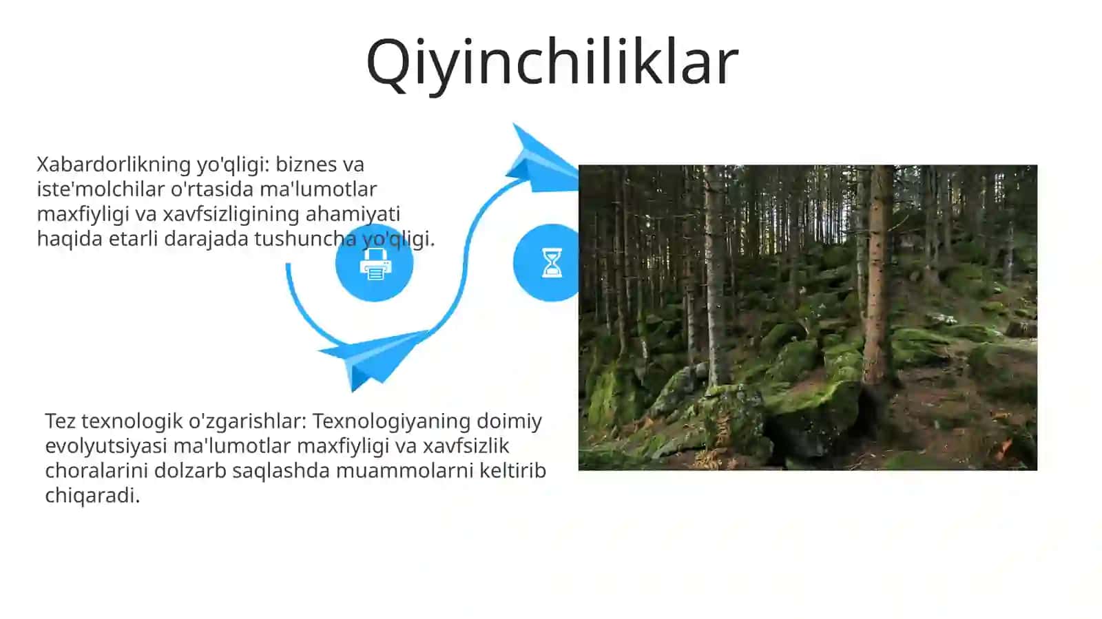 Qo'llash doirasi 4