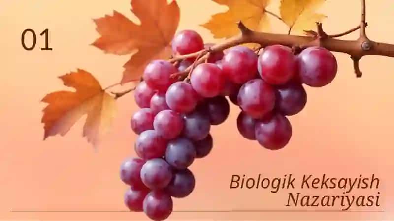 Biologik keksayish 4