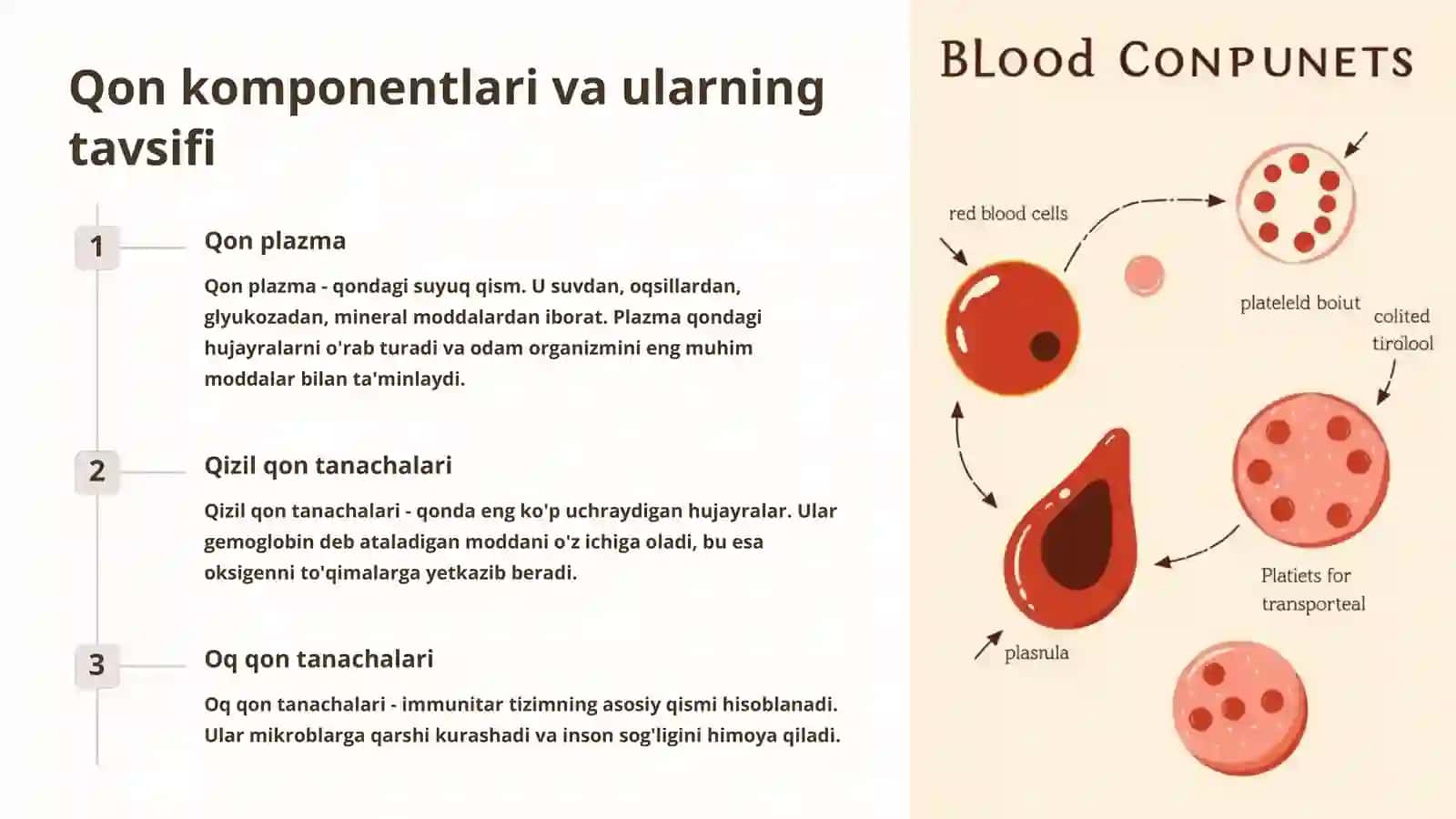 Donor qoni manbalari 4