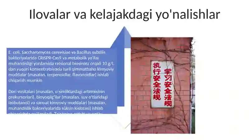 Oqilona biosintezi va uning genetik darajasidagi regulyatsiyasi 4