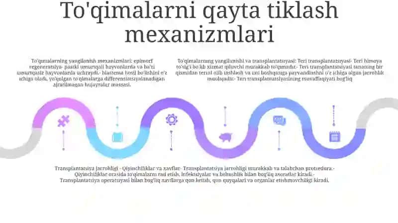 To'Gay To'Qimasining Regeneratsiyasi Va Transplantatsiyasi 4