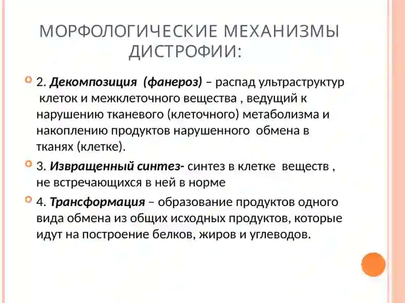 ДИСТРОФИЯ 4
