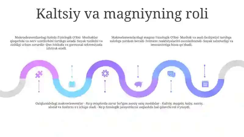 Makroelementlarning Fiziologik OʻRni 4