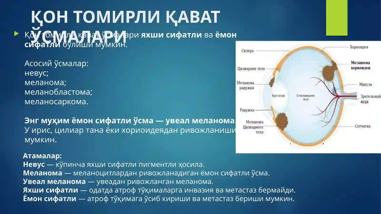 ҚОН ТОМИРЛИ ҚАВАТ ЎСМАЛАРИ 4
