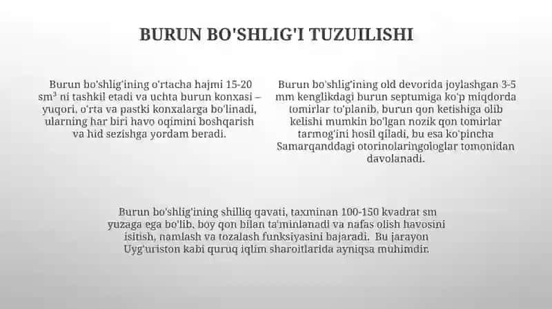 Ko'z Uyasi va Burun Bo'shlig'ining O'zaro Aloqasi 4