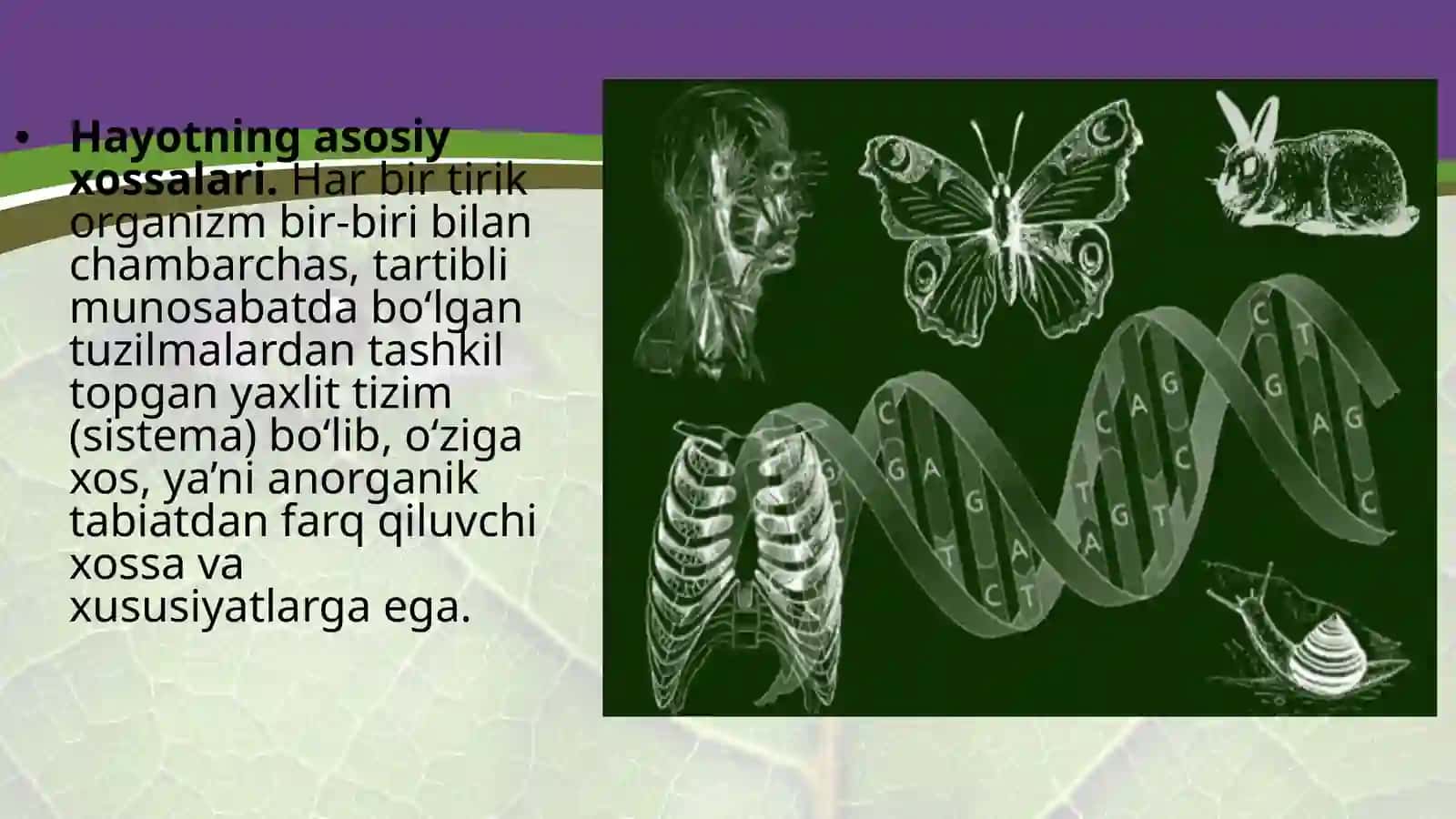 Tibbiy Biologiya va Genetika fanidan 4