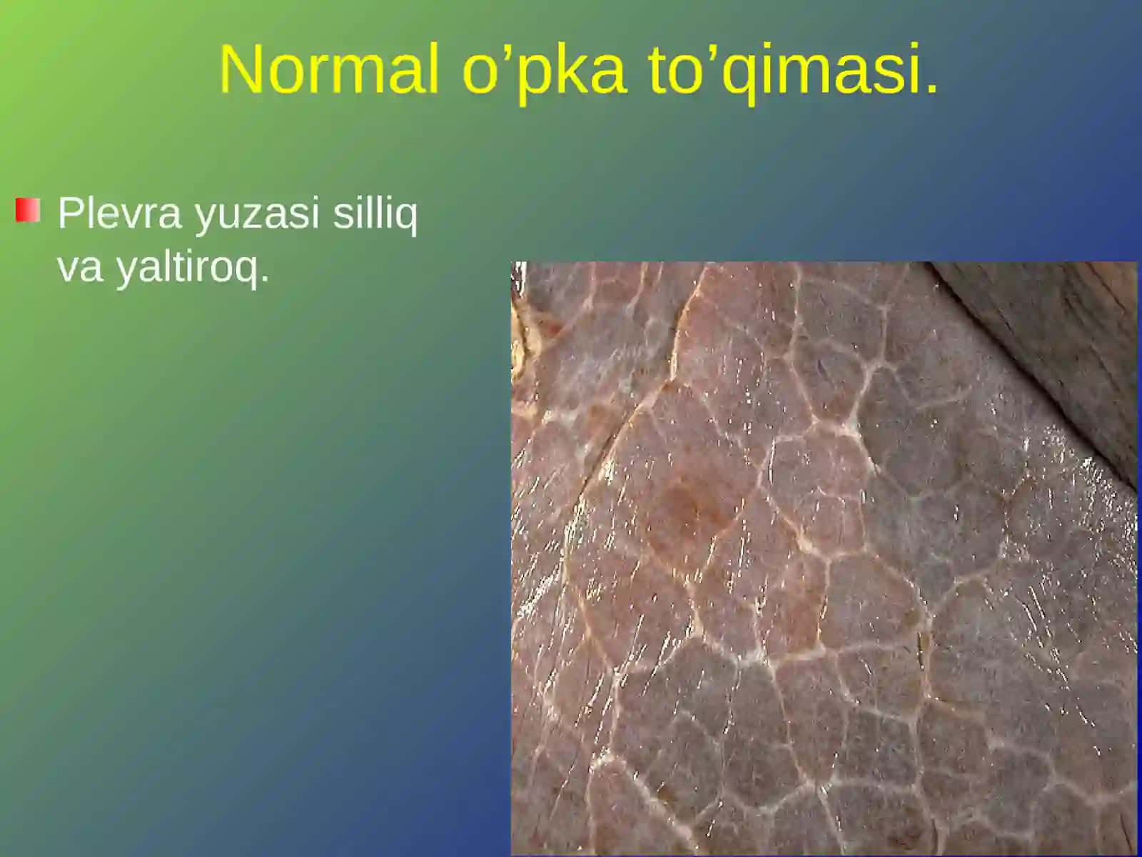 stomatit patologiyasi 4