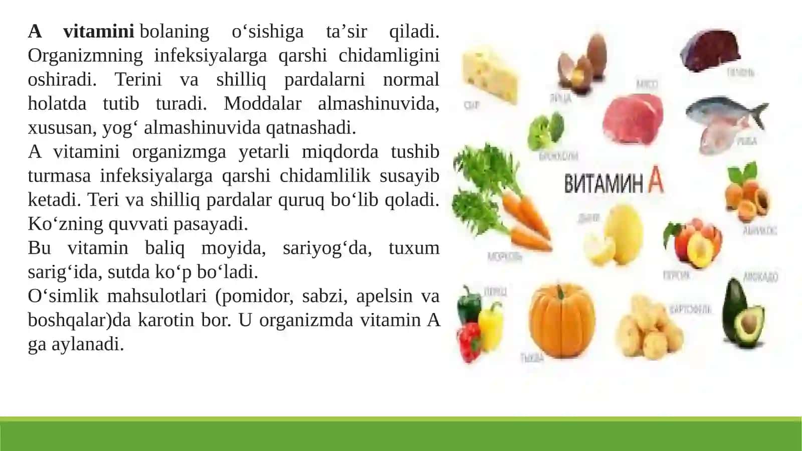 VITAMINLAR SAQLOVCHI DORIVOR O’SIMLIK XOM ASHYOLARINI TAYYORLASH, QADOQLASH VA SAQLASH USULLARI 4