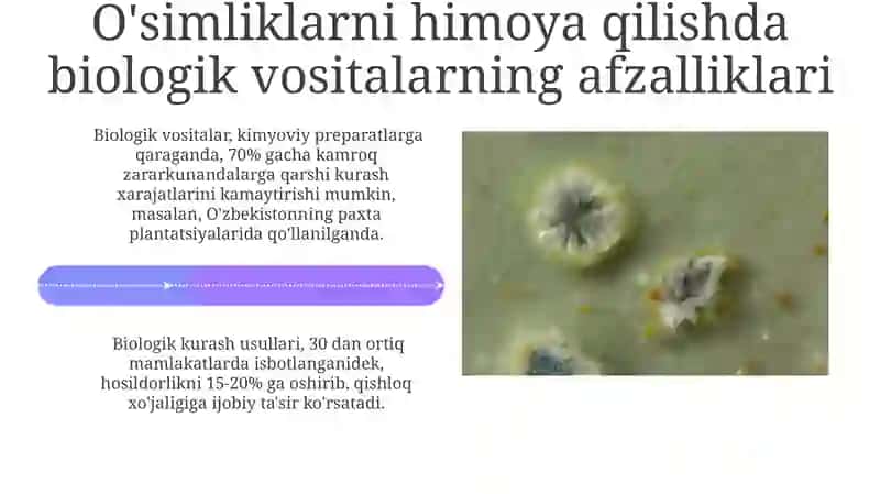 Biologik himoya qilish vositalari 4