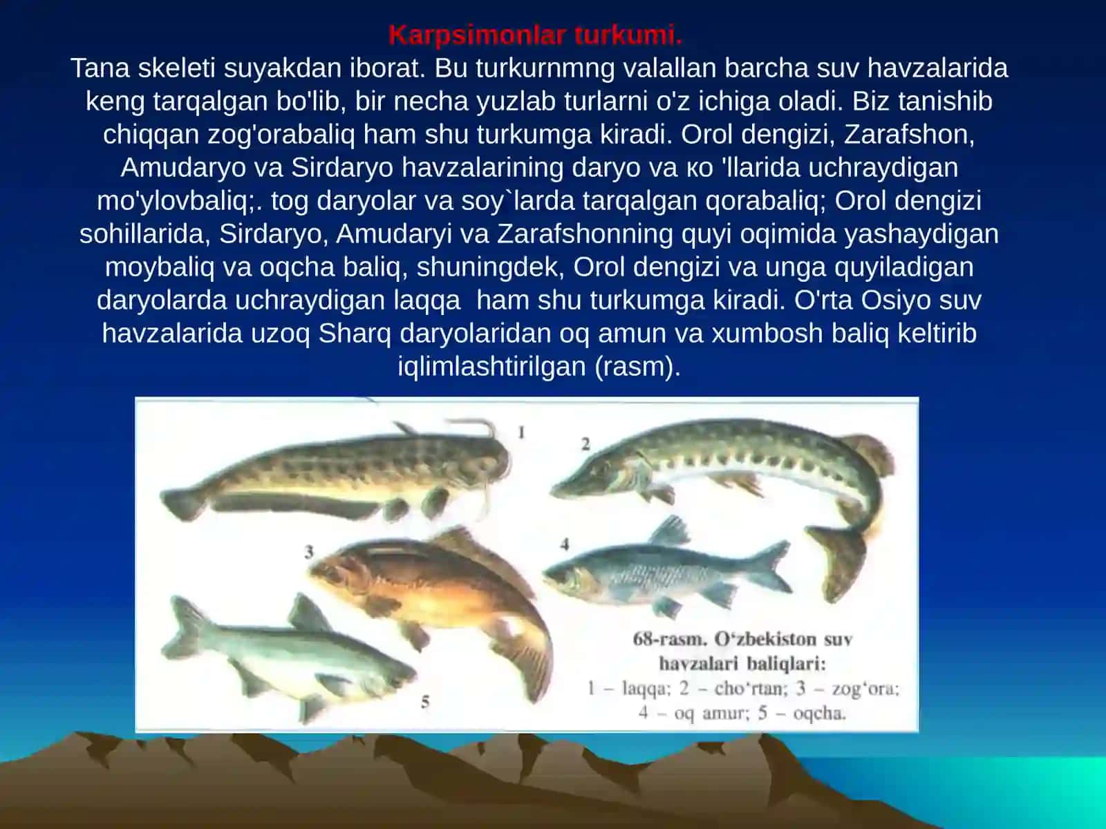 Suyakli baliqlar  sinfi, asosiy sistematik guruhlari va ahmiyati 4