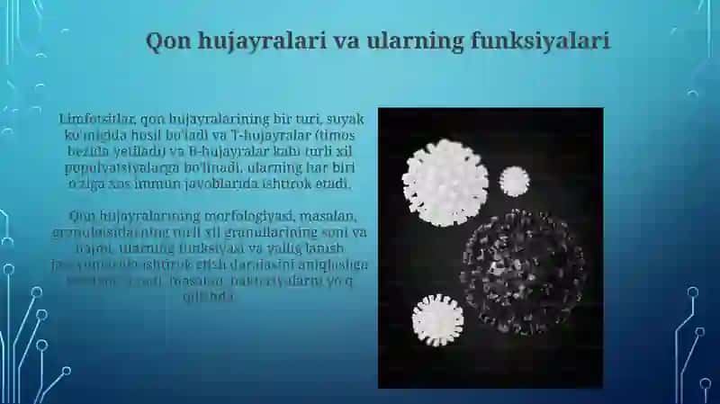 Teri va shilliq pardalarning immunologik himoyasi 4