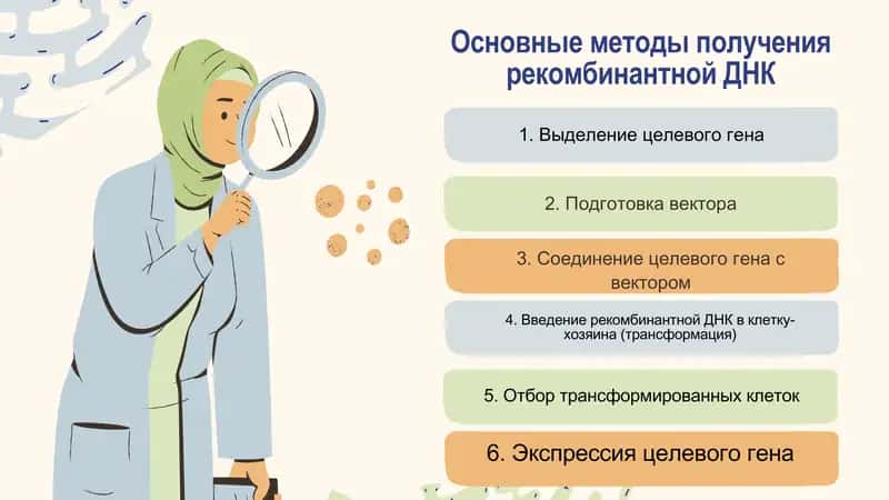 Презентация на тему: Рекомбинантная ДНК 4