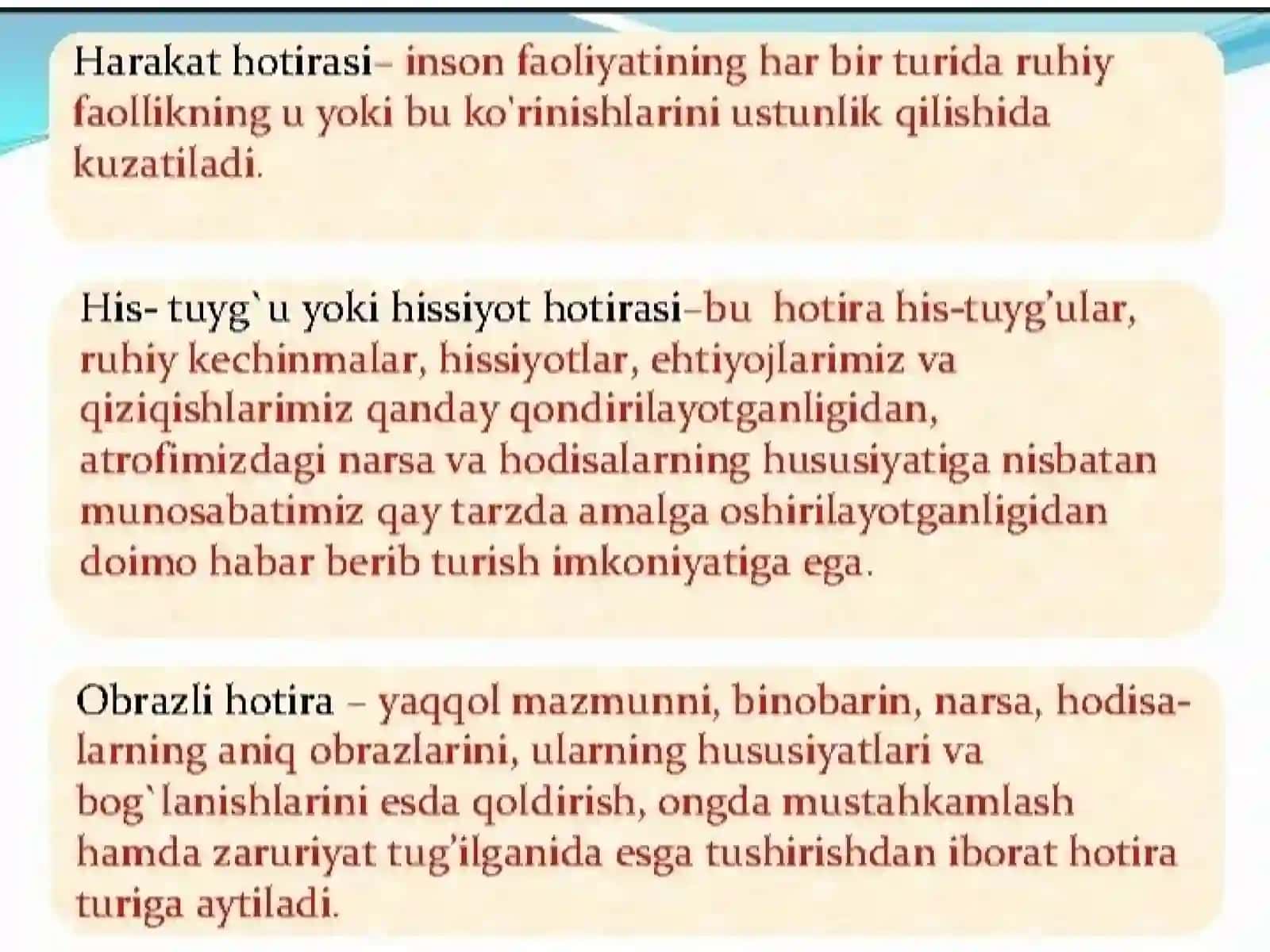 Xotira 4