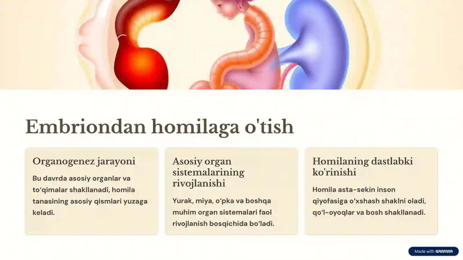 Urug'lanish, homilaning bachadonda rivojlanishi va homiladorlikdagi fiziologik o'zgarishlar 4