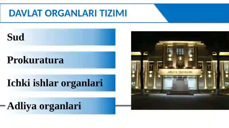 Inson huquqlarini himoya qiluvchi davlat organlari 4