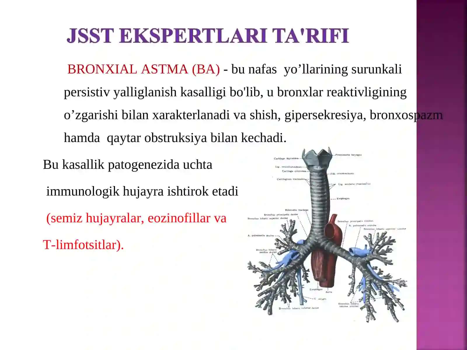Bronxial Astma 4