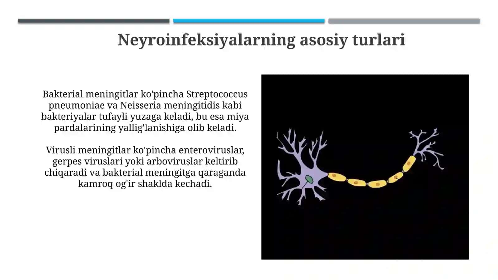 Nevrainfeksiyalari etialogiyasi va mikrobiologik tasnifi 4