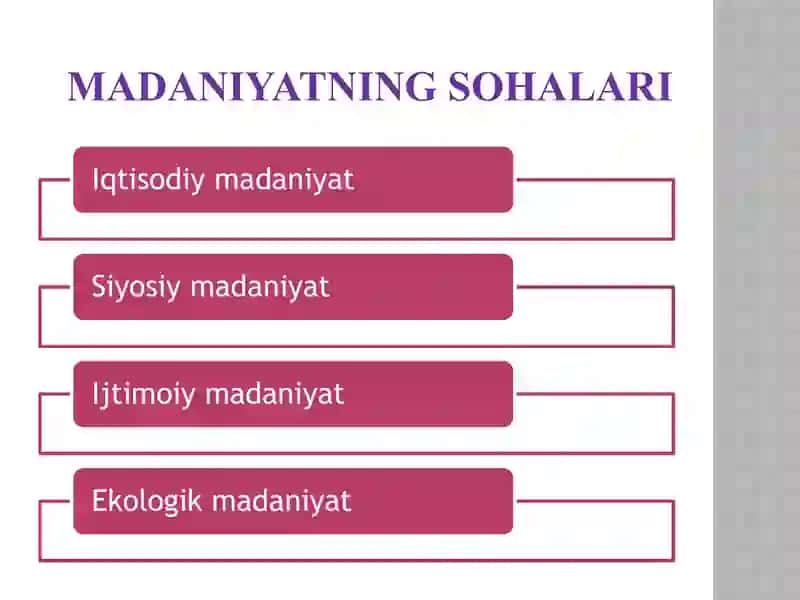 Ijtimoiy Madaniyat Faoliyati Tarixi 4