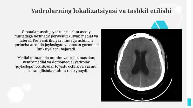 Gipotalamus ozaklari va ularning klinik ahamiyati 4