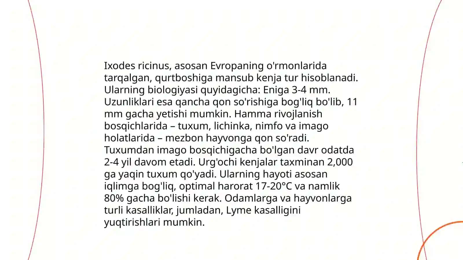 It kanasi -Ixodes ricinus 4