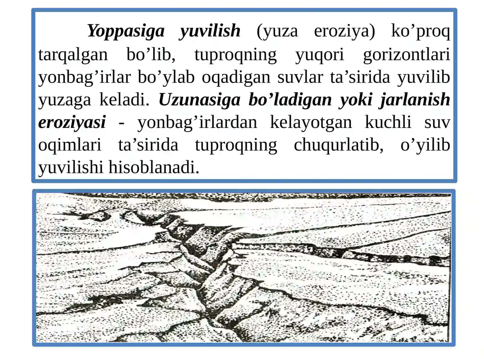 13 TUPROQ EROZIYASI VA DEGRADATSIYASI, ULARGA QARSHI KURASH CHORALARI 4