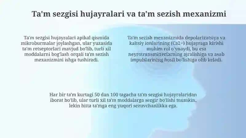 Ta'm Bilish Organining Tuzilishi va Fiziologiyasi 4