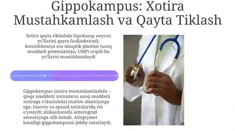 Limbik tizim klinik ahamiyati 4