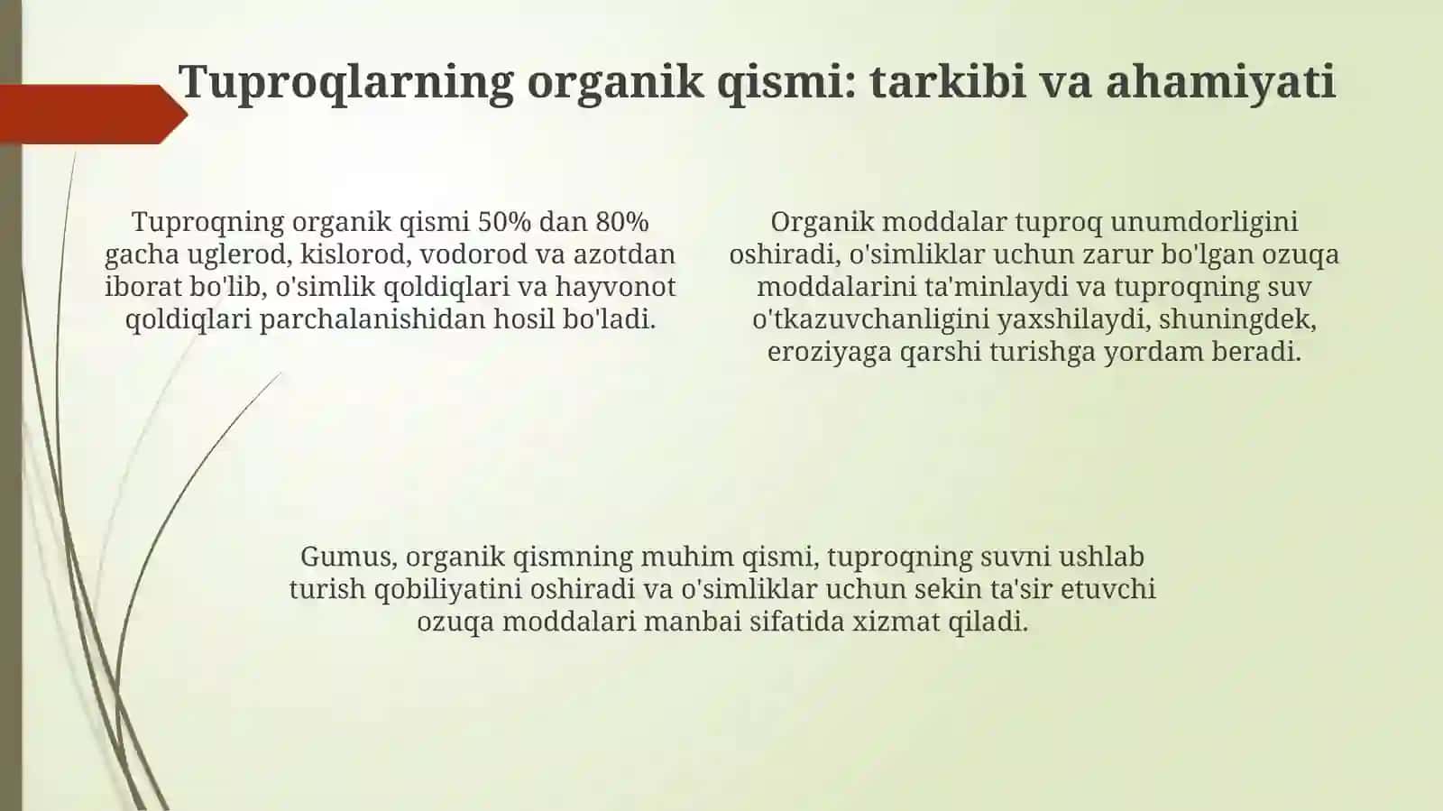 Tuproqhosilboʻlishiningbiologikomillarivatuproqlarningorganikqismi 4