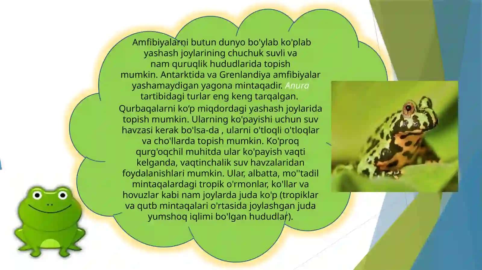 Amfibiyalar hayot shakli 4