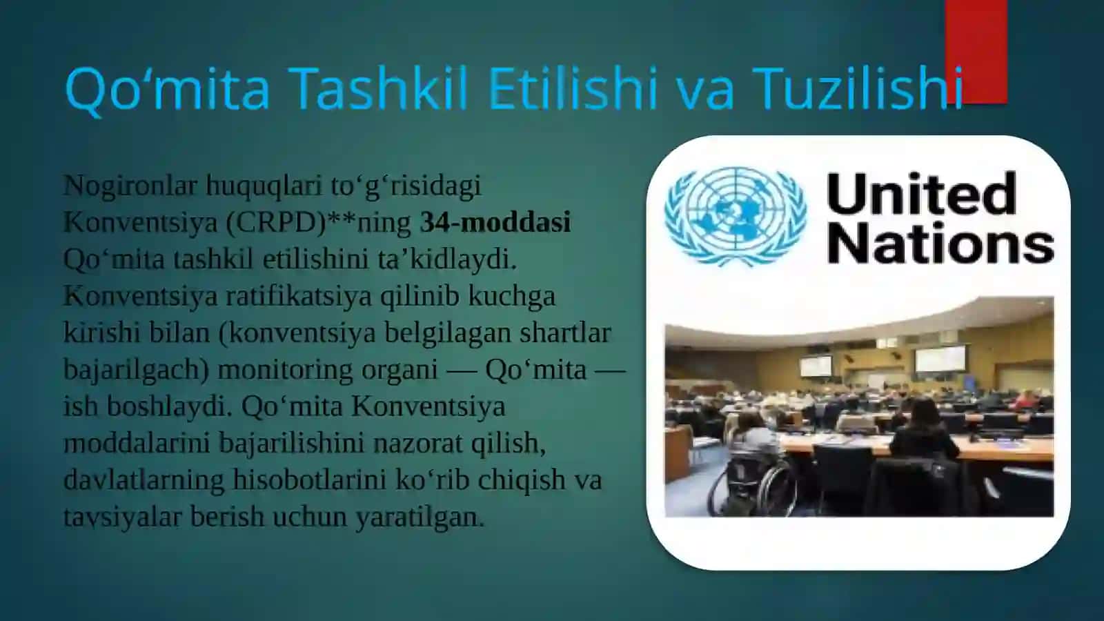 BMTning Nogironlar Huquqlari Bo‘yicha Qo‘mitasi: Vazifa va Maqsadlar 4