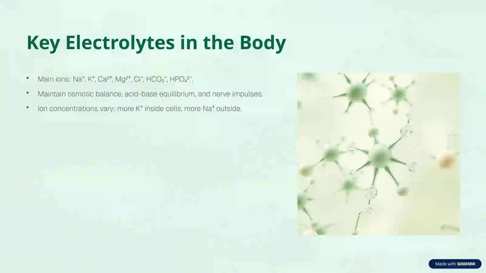 Biological Fluids: The Body's Electrolyte Solutions 4