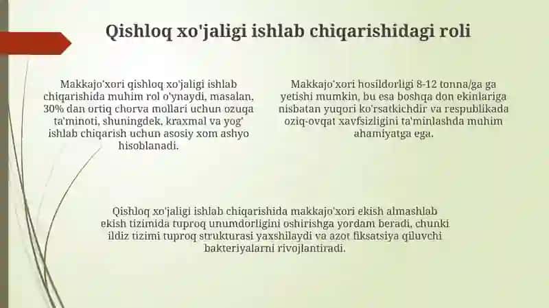 Makkajo'xorining xalq xo'jaligidagi ahamiyati 4