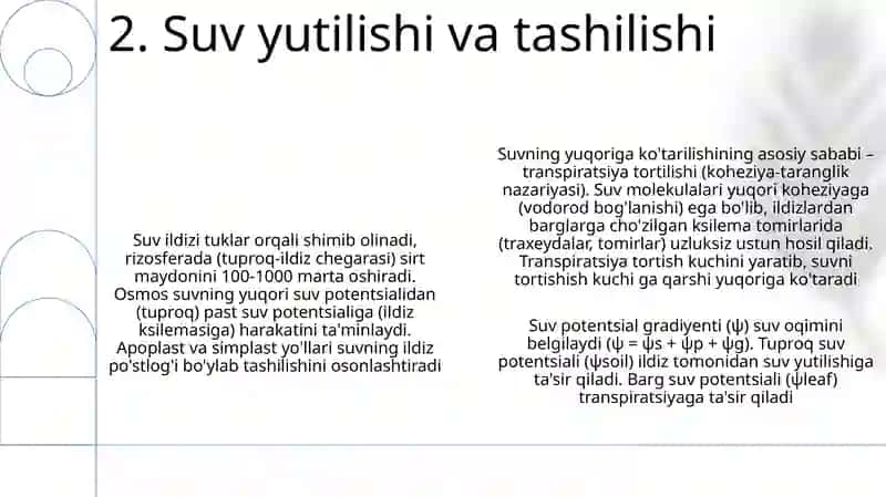 Yem hashak ekinlarining fizalogiyasi 4