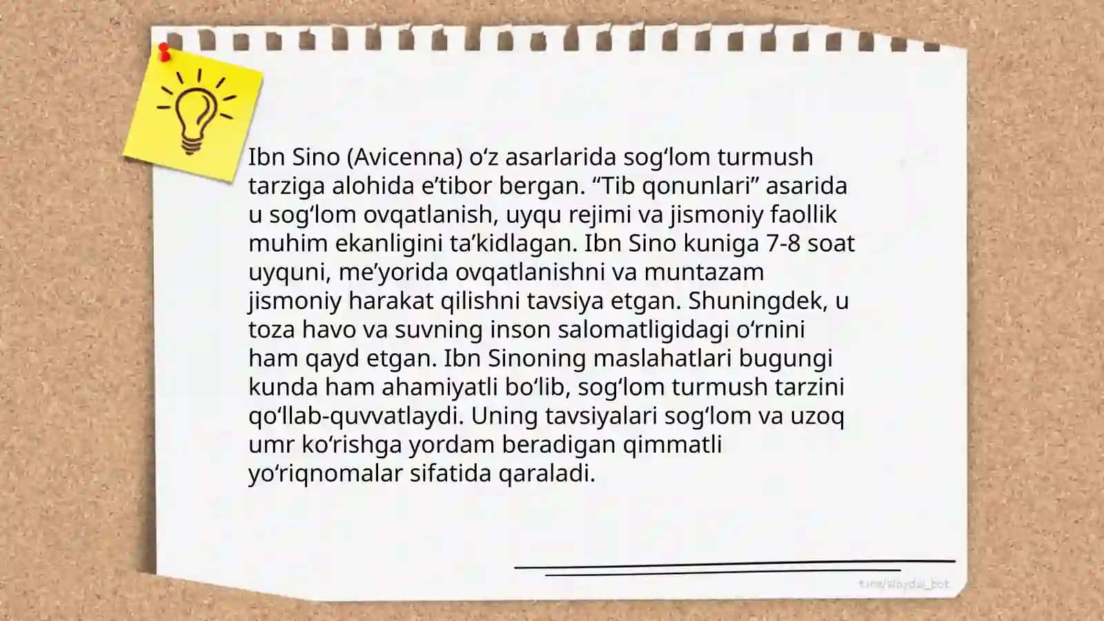 Sharq mutafakkirlarining jismoniy tarbiya haqidagi qarashlari 4