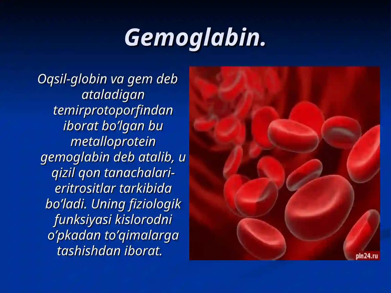 Xromoproteinlar va gemoglobin 4