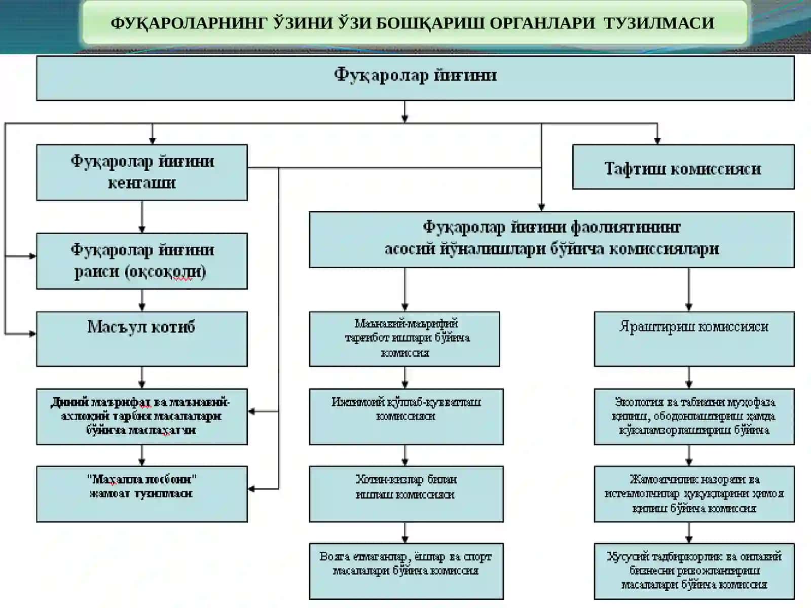 Fuqarolarning o‘zini o‘zi boshqarish organlari ijtimoiy himoyalash subyekti sifatida 4