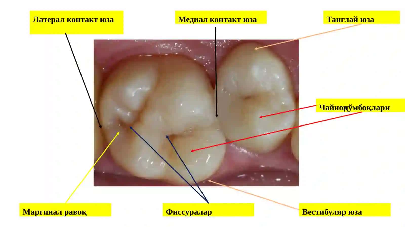 Чархлаш (лот. рreparare - тайёрлаш) 4