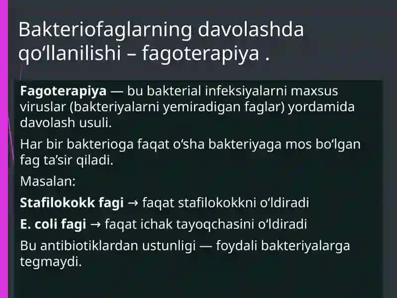 Bakteriofaglarni amaliyotda (davolashda, identifikatsiyada, profilaktikada) qoʻlanilishi 4