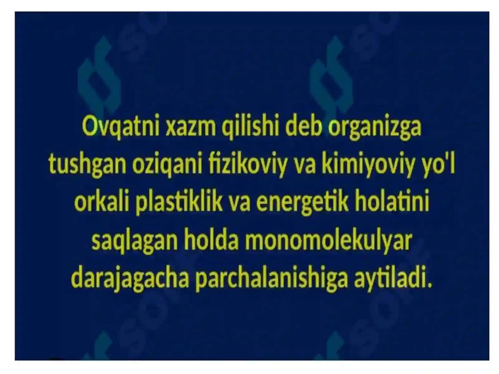 Ovqat hazm qilish tizimi fiziologiyasi 4