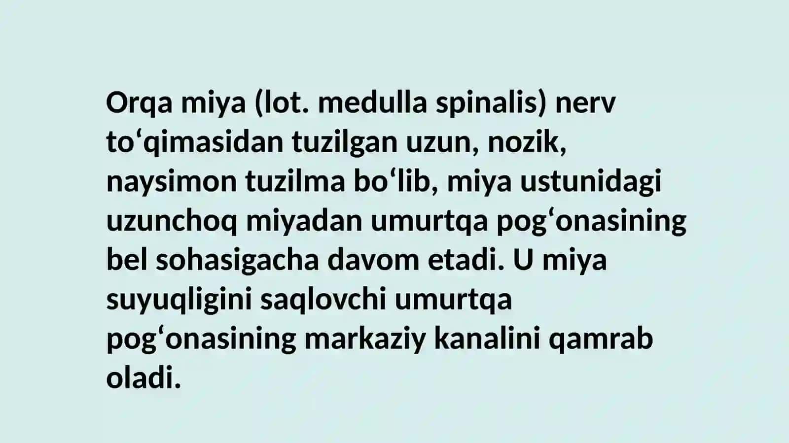 Orqa miya 4
