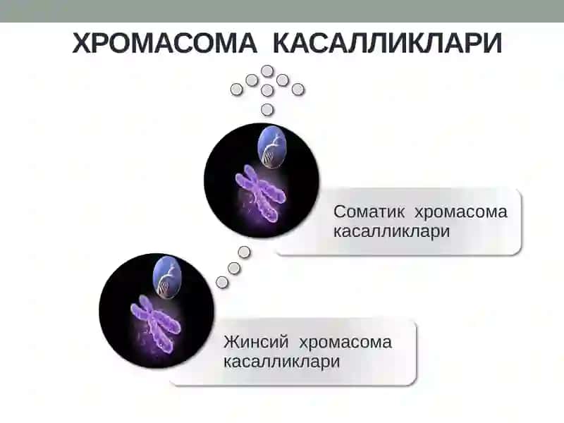 ИРСИЙ КАСАЛЛИКЛАР 4