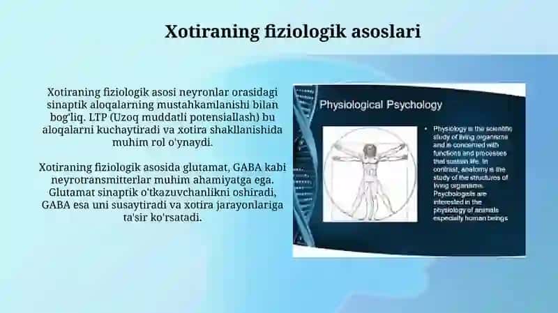 Xotira pisixalogiyasi va fizalogiyasi 4