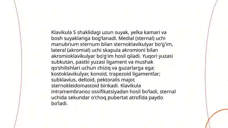 Yelka kamari va qoʻlning erkin suyaklari tuzilishi 4