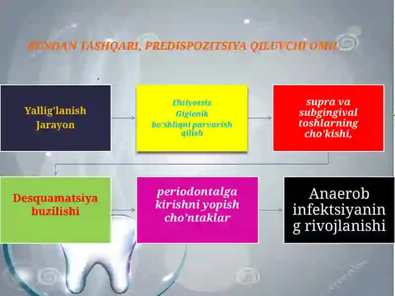Vinsent Stomatiti 4