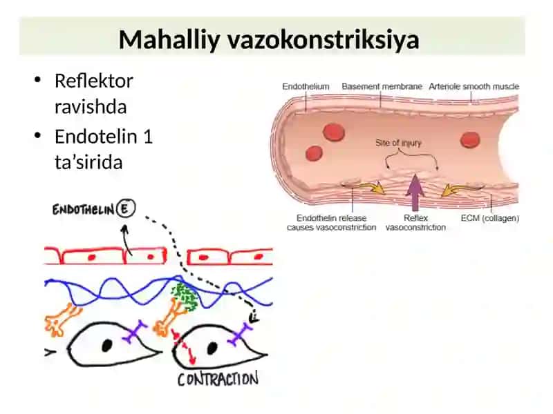Gemostaz 4