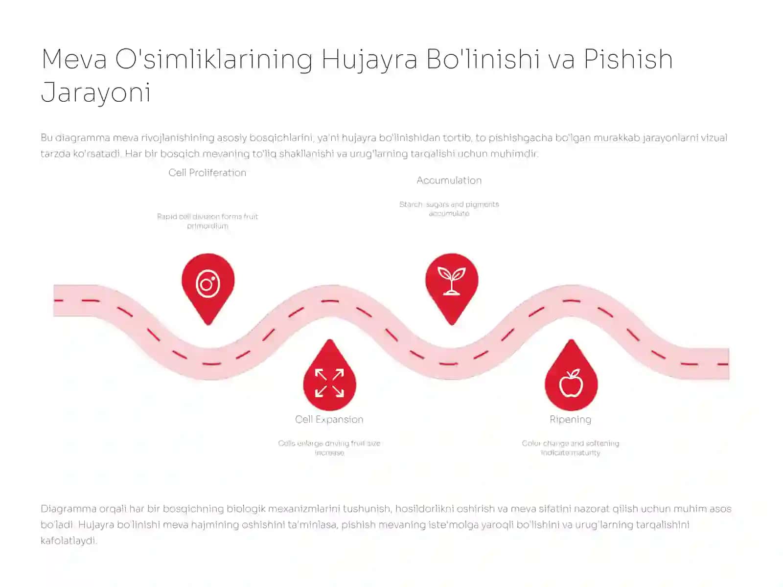 Meva va Rezavor Meva O'simliklarini Ko'paytirish: Biologik Xususiyatlari 4