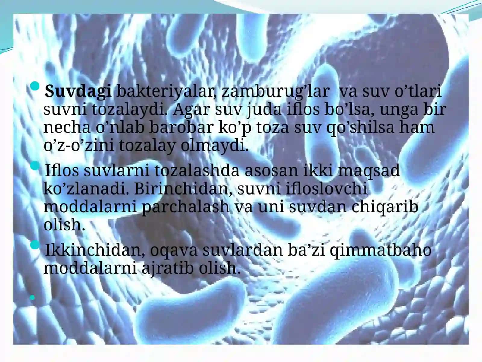 Toza qo’llar salomatlik garovidir 4
