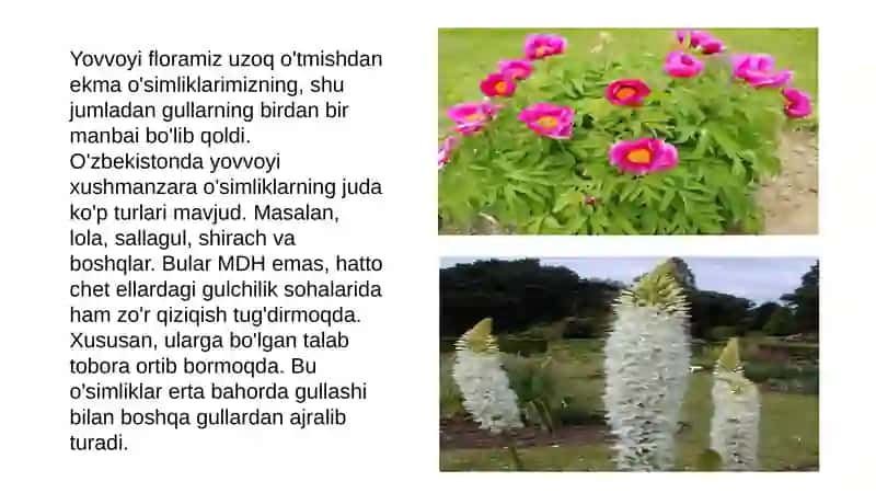 Biologiya yoʻnalishi 4