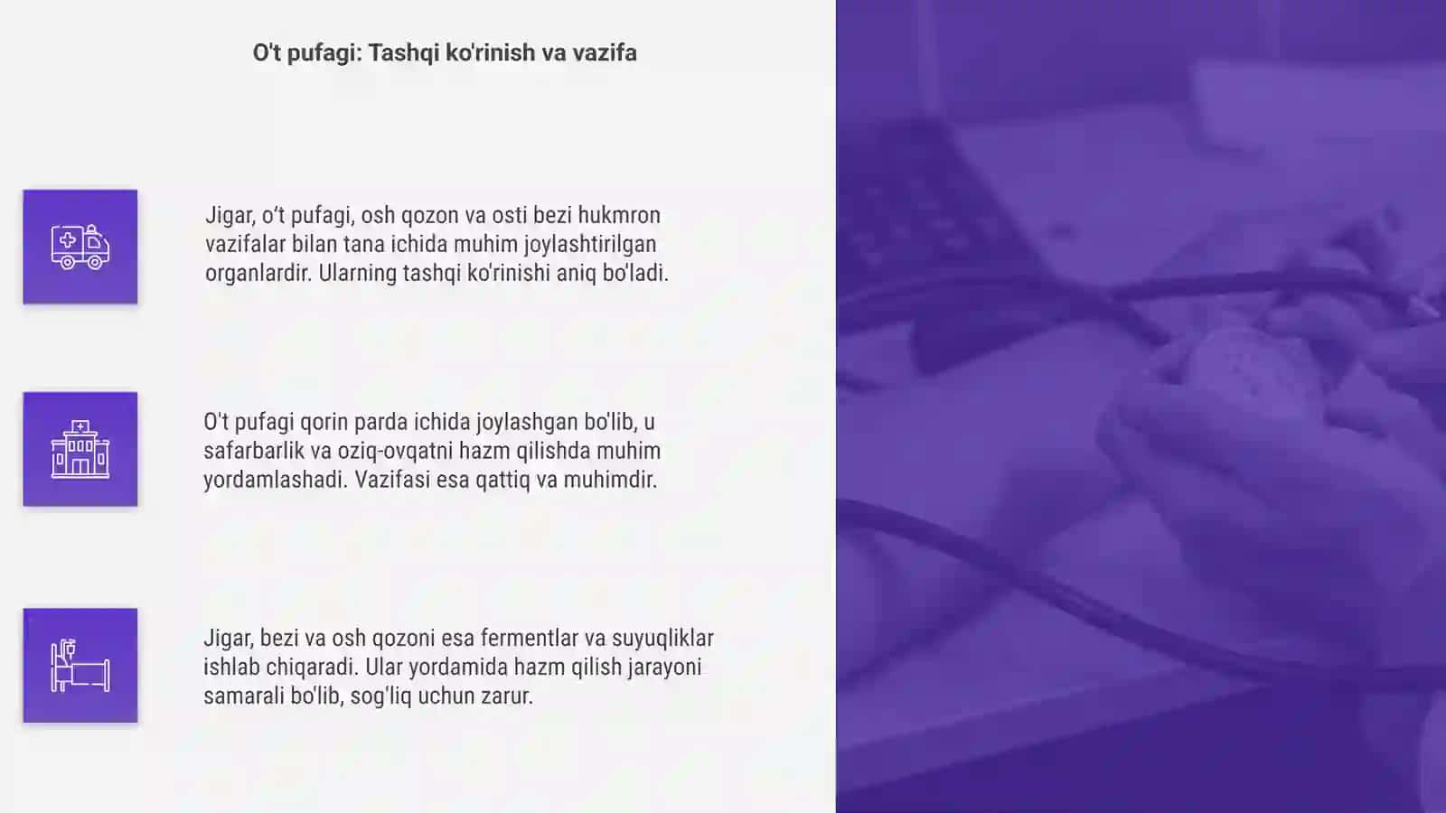 Anatomiya: Jigar õt pufagi osh qozon osti bezi qorin parda 4