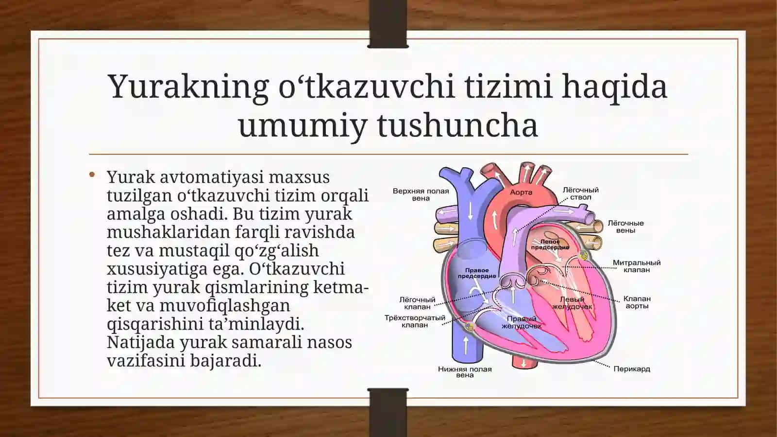 Yurakavtomatiyasining tabiati 4